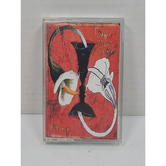 TOAD The WET SPROCKET Dulcinea 1994 Cassette Tape Rock Alternative - Picture 1 of 5